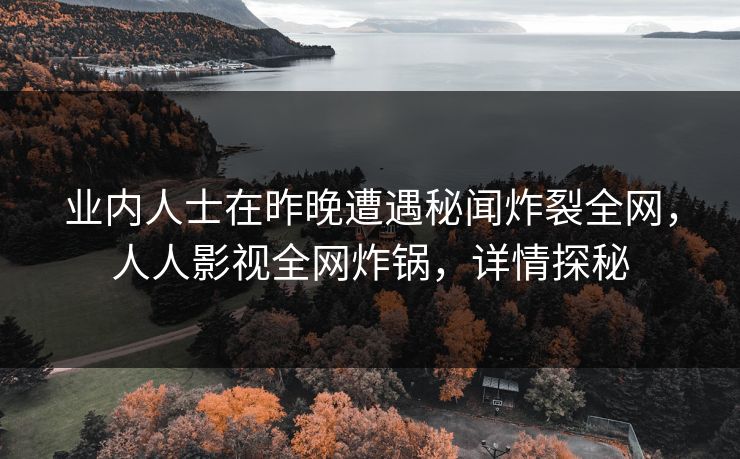 业内人士在昨晚遭遇秘闻炸裂全网，人人影视全网炸锅，详情探秘